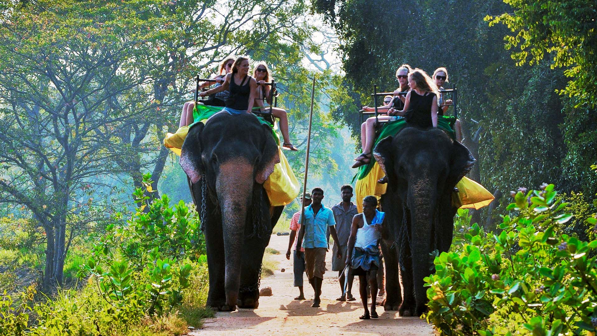 Elephant Riding Sri Lanka